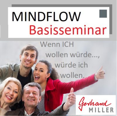 Mindflow - Basisseminar - Wien